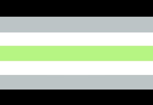 Agender Flag